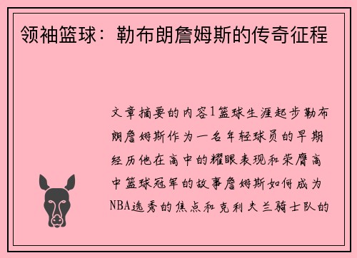 领袖篮球：勒布朗詹姆斯的传奇征程