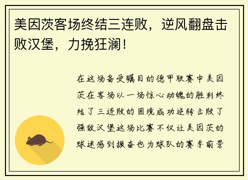 美因茨客场终结三连败，逆风翻盘击败汉堡，力挽狂澜！