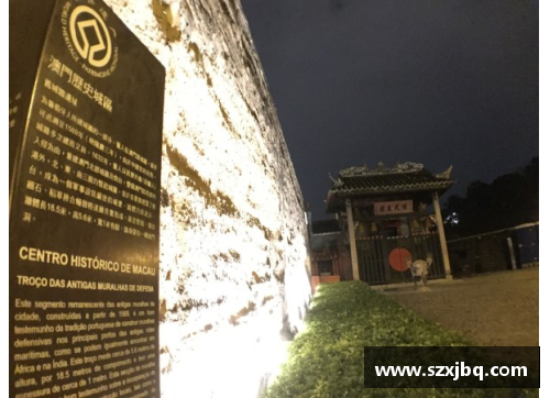 中国澳门沙金集团入口官方网站老国王球员：传奇岁月与未来探索 - 副本