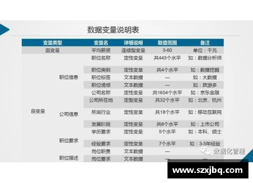 球员转会薪资分析及影响因素探讨