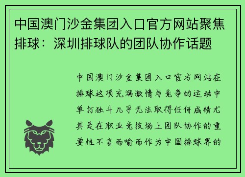 中国澳门沙金集团入口官方网站聚焦排球:深圳排球队的团队协作话题