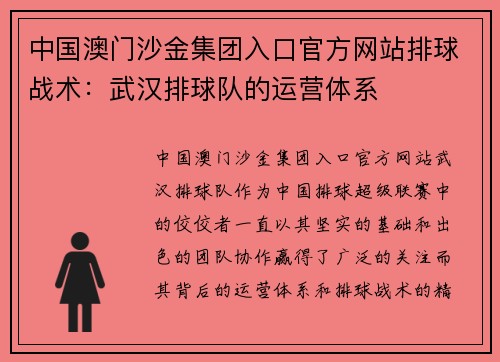 中国澳门沙金集团入口官方网站排球战术：武汉排球队的运营体系