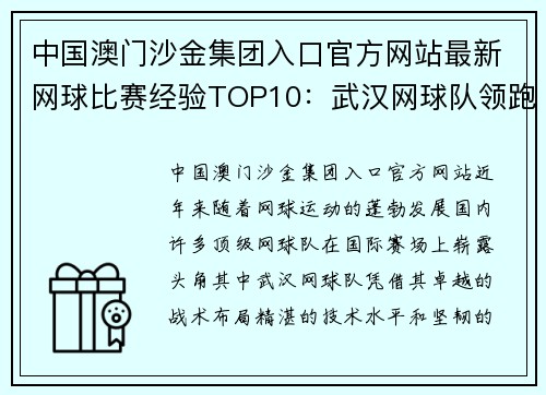 中国澳门沙金集团入口官方网站最新网球比赛经验TOP10：武汉网球队领跑