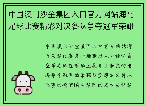 中国澳门沙金集团入口官方网站海马足球比赛精彩对决各队争夺冠军荣耀与梦想